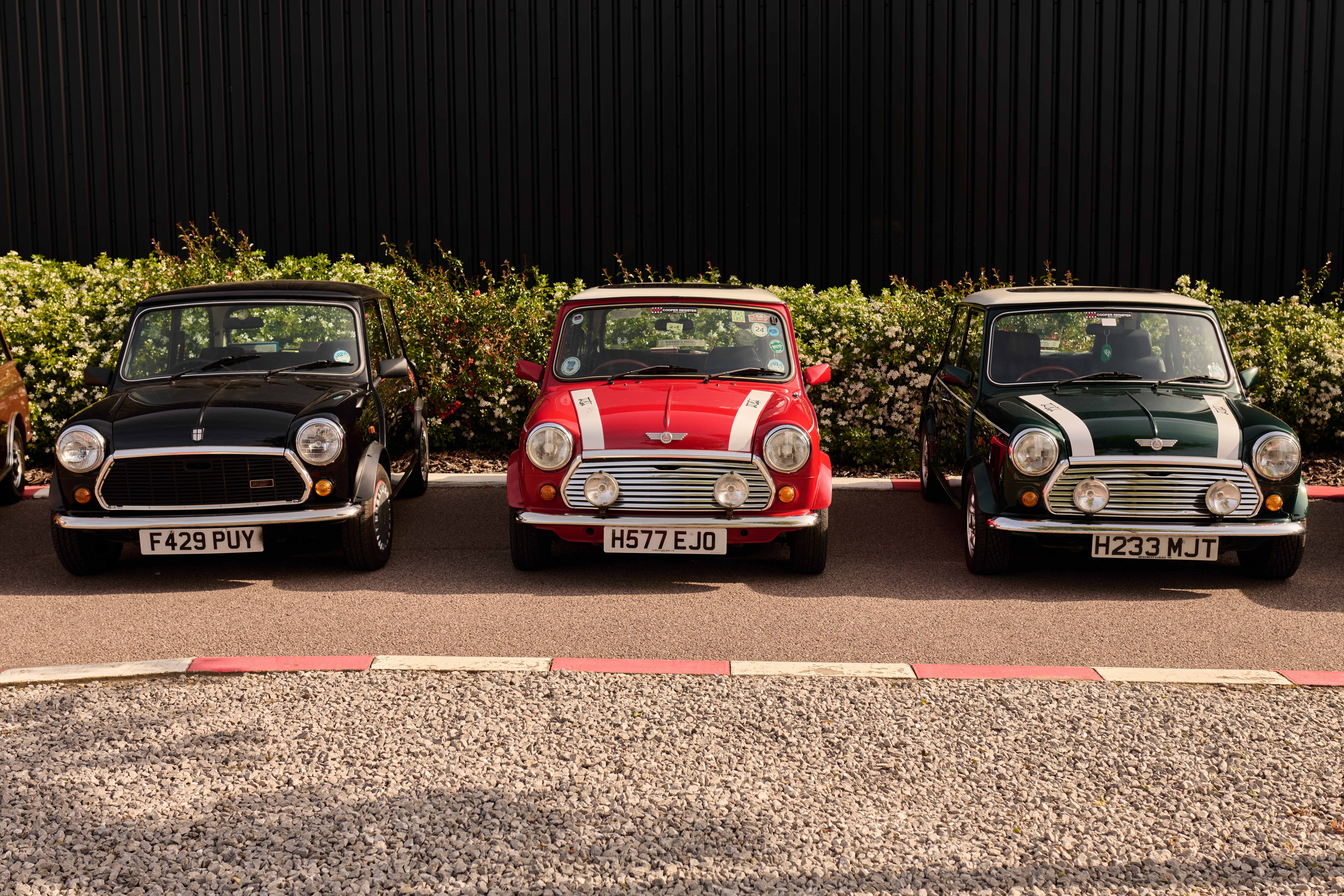 A line of Mini Coopers, led by a black one with red accents, drives down a road near industrial buildings.  